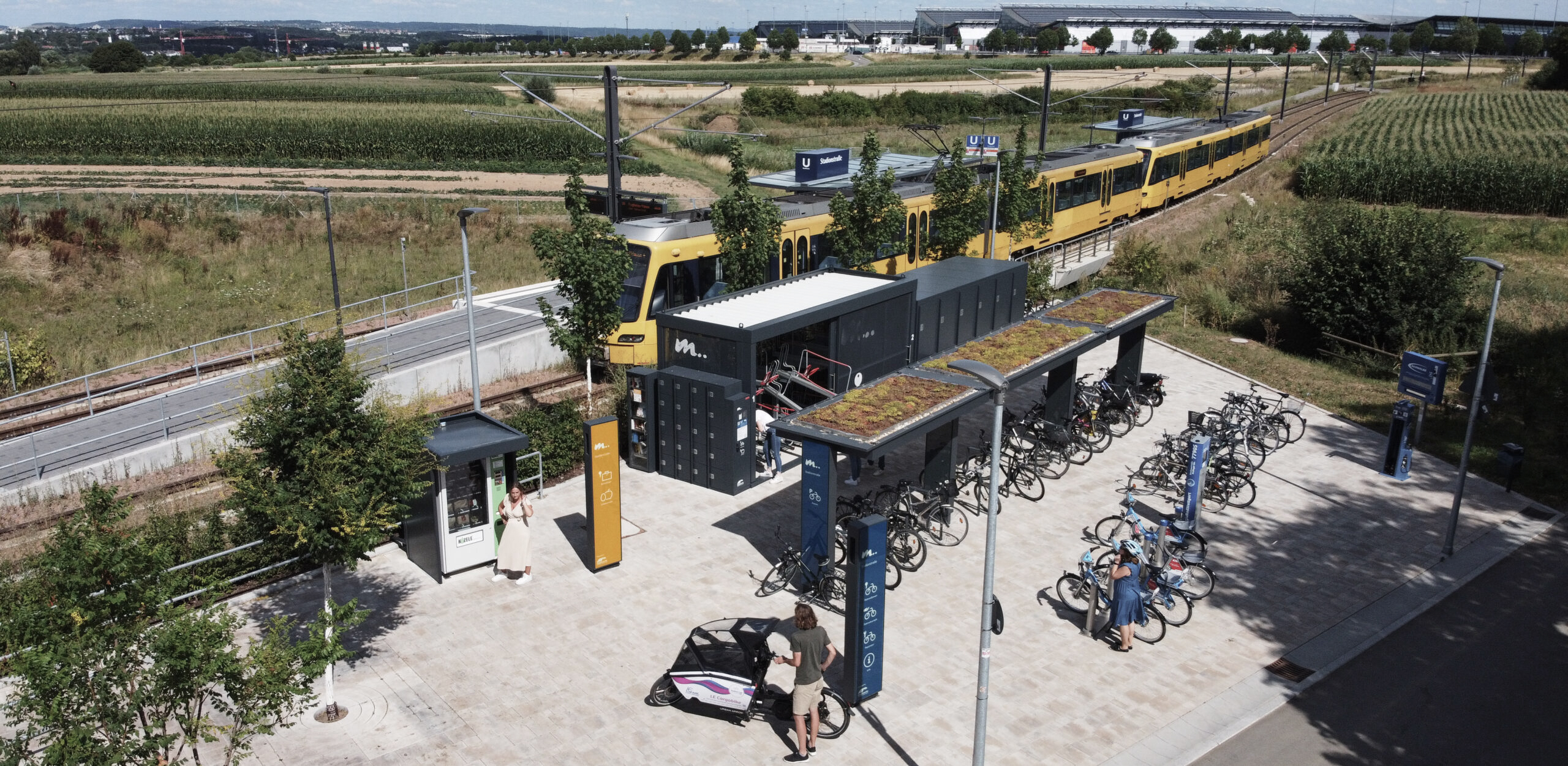 p-vintage-vinyl-house